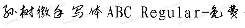 孙树徽手写体ABC Regular字体转换